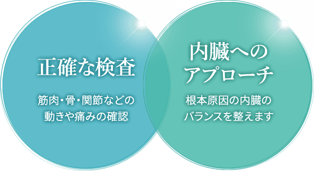 正確な検査 内臓へのアプローチ